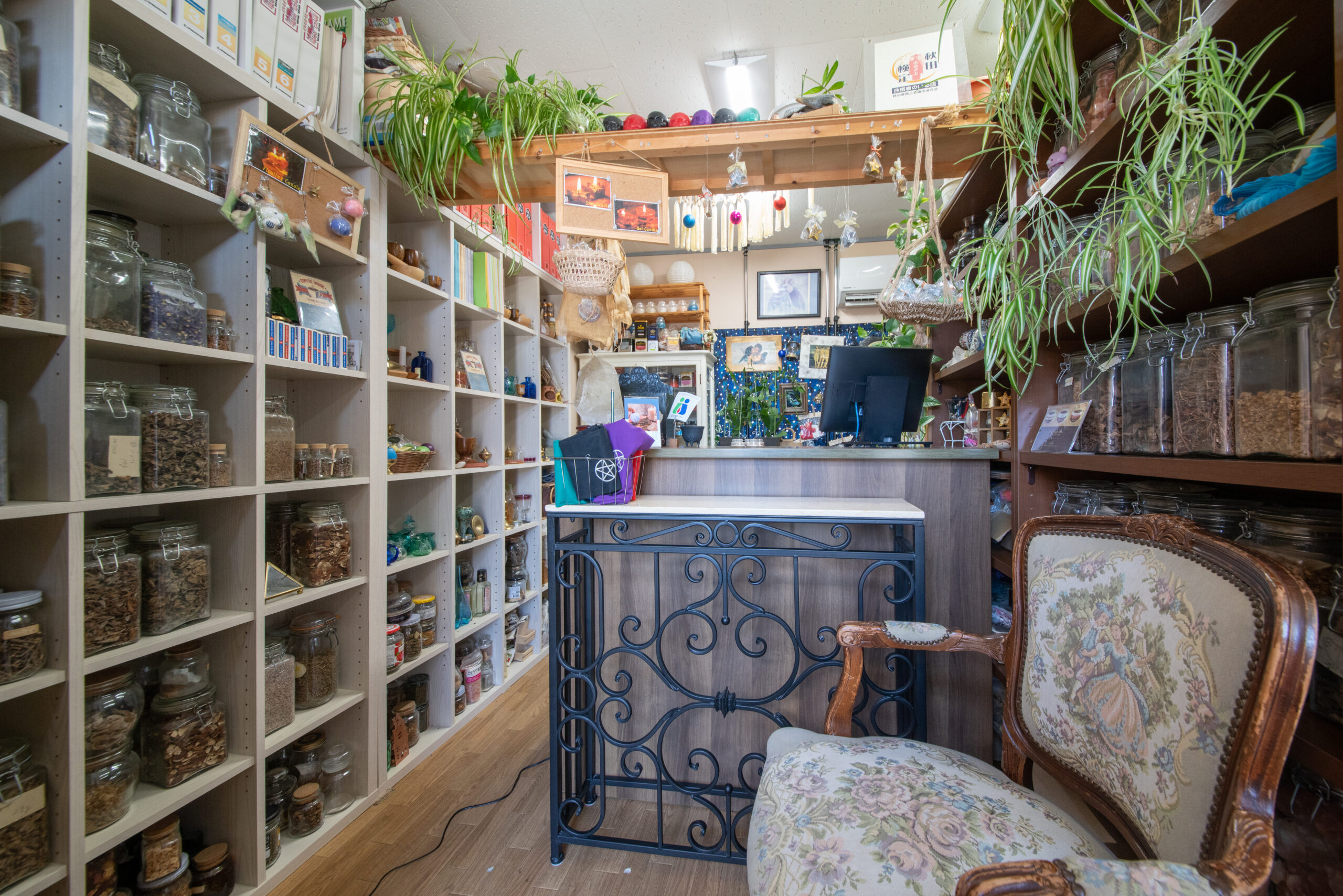 現在店舗の内装：ハーブ棚とカウンター