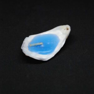 シェルキャンドル（Blue‐B）スモール