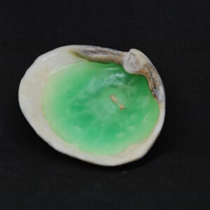 シェルキャンドル（Green）ミディアム