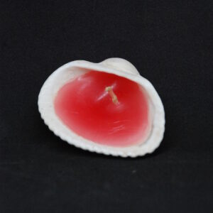 シェルキャンドル（Rad）ミディアム