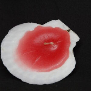 シェルキャンドル（Rad）ラージ